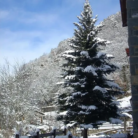 Hotel Viña Oliván *
