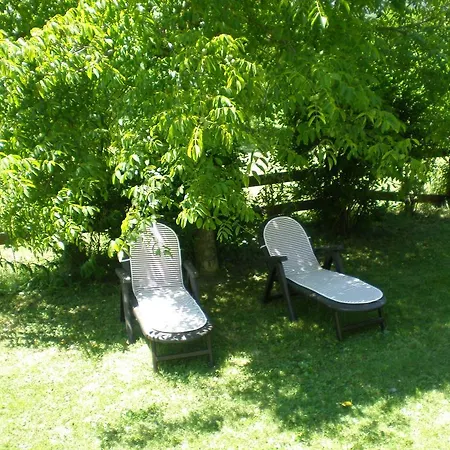 Vina Olivan Sarvisé