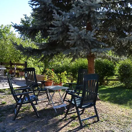 Vina Olivan * Sarvisé