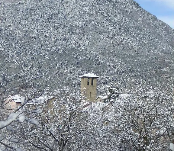 Vina Olivan Sarvisé