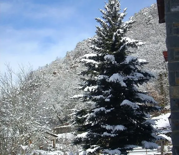 Szálloda Vina Olivan *