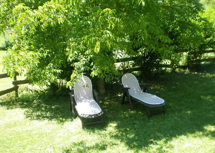 Vina Olivan Sarvisé