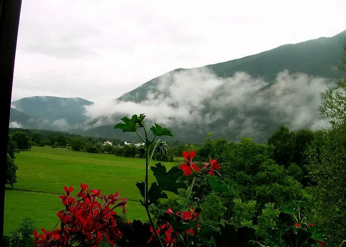 Szálloda Vina Olivan Sarvisé